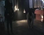 Dankeschön Clips für eure Treue nur 1 Dollar pro Clips
