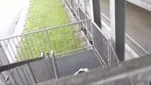 Stella roped hard on stairs 2/2