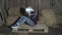 Elysa ready for transport 2/2