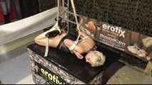 Tight Belt Hogtie for Lena King
