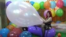 Sharin 17