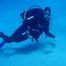 A short underwater video
