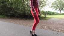 Horny red on the highway
