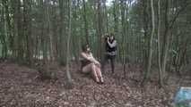 Ayu tree tied 1/2