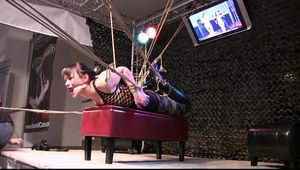 Spider Web Hogtie for Yvette