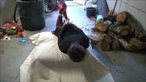 Paulette and Romy - The supposed gardener 2 part 5 of 8