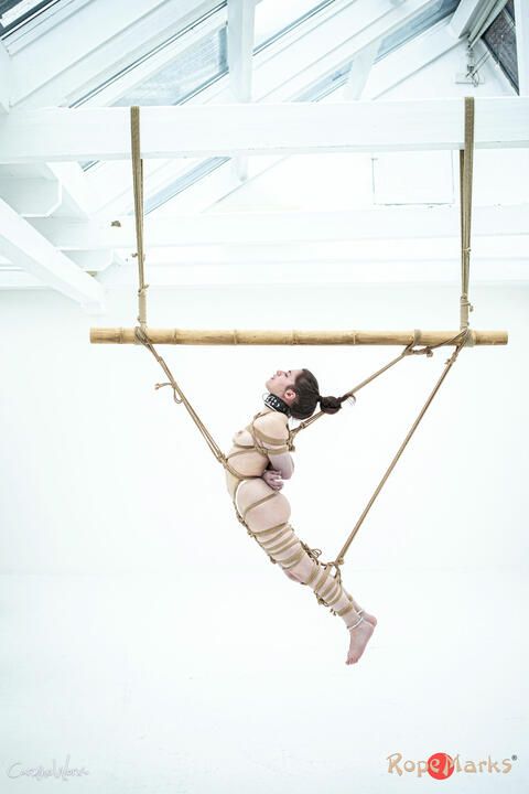 The initiation of TatiAna