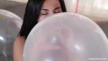 clip no. 252