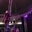 Predicament Endurance Challenge for Lillian Caine !