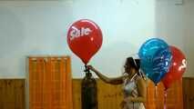 dany 308