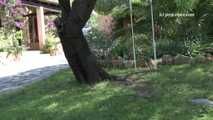 030044 Salma Takes A Naughty Pee From The Garden Swing