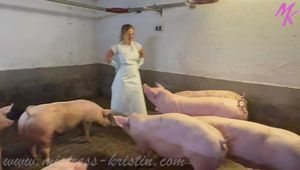 Clip #023 Which pig should it be? #Stall #Apron #Butcher
