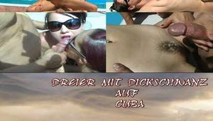 DICKSCHWANZDREIER AUF CUBA