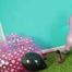 354 Spandex looner girl