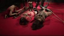 BoundCon XI - Custom Photo Shoot 5 - Part 2