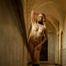 Monastery hallway