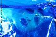 Blue Bag 2