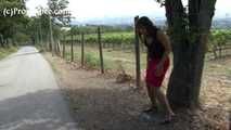 040002 There Is A Long Line For The Toilets And So Andrea Pees In The Roadway
