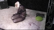 Hogtie Challenge for Dany Blonde