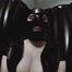 Slutlana Shorts 3 - The necessities of Gummiklofrau