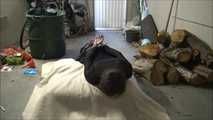 Paulette and Romy - The supposed gardener 2 part 5 of 8