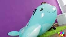 40 Karina's little inflatabel zoo