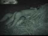 VOYEURHORNY 048