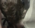 Thank you for your loyalty clips dollars only 1 per clip