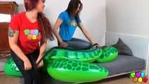374 The giant turtle Part 2