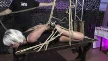 A new Hogtie Challenge for Lena King