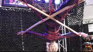 upside down suspension