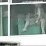 HIDDEN CAM AND FUCKING COUPLES