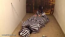 Irina in the cage in heavy steel part 3