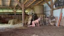 Schlachtfest! Es gibt frischen Bacon! HumanPig