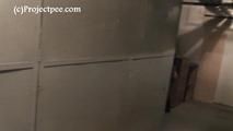 119006 Donna-Jo Pees On Her Basement Floor