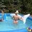 354 Cool off in the water!