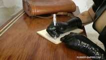 The Rubber Education Institution
