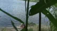 VOYEURHORNY 033