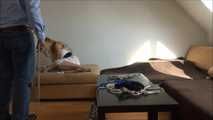 Steffie - Hijacks Part 4 of 9