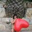 The big red heart