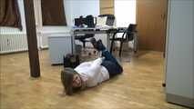 Melissa - The Secretary and the Caretaker Part 5 of 5