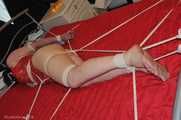 Web of Restraint