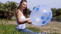 1286 B2P TT17 Polka Dot