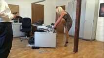 Julia – The Fake Auditor Part 4 of 7