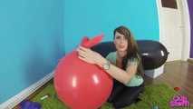 397 Steffi 1-on-1