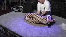 Incredible Hogtie