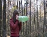 cold forrest - hot action