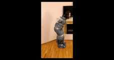 Bonnie Woods - Trashbag self package (video)
