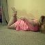 Hogcuffed