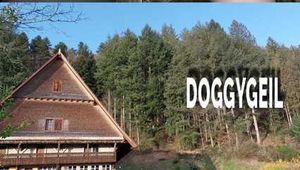 DOGGYGEIL